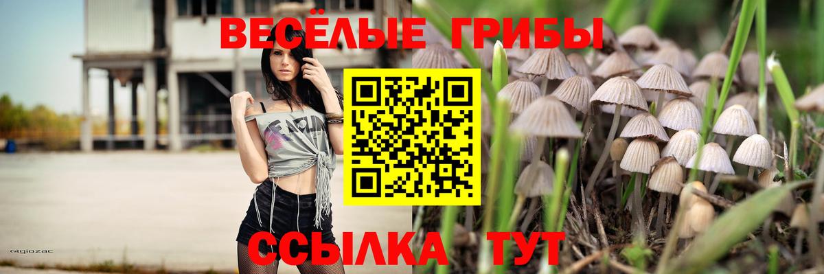 Галлюциногенные грибы Psilocybine cubensis Учалы
