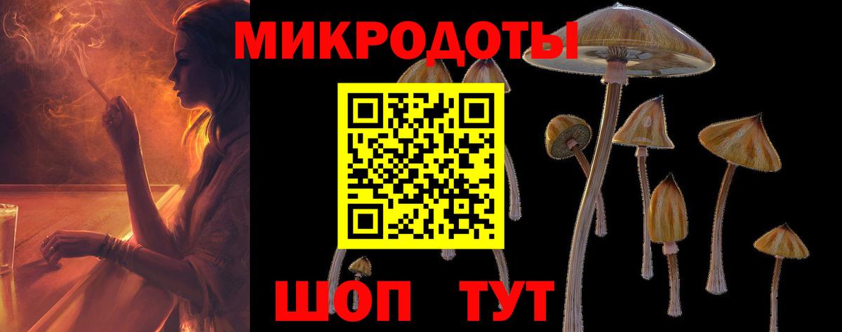 Учалы  Псилоцибиновые грибы мухоморы  Вход с VPN 